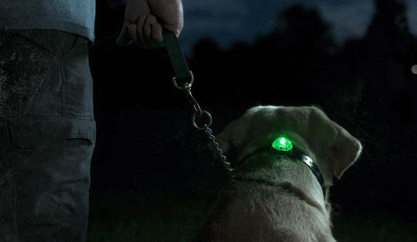 Sportdog clearance locator beacon