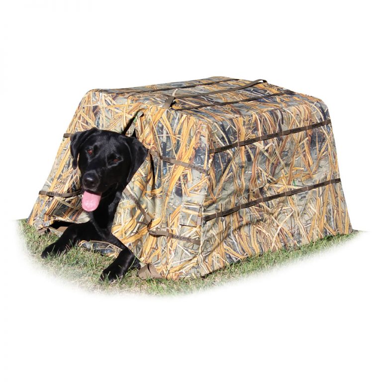 Beavertail Dog Field Blind