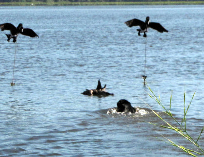 Goose Tree System Set of River Rod Extensions