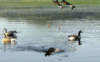 Goose Tree System Set of River Rod Extensions