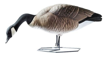 DOA Decoys Rogue Series Full body Canada Goose Decoys 6 Pack