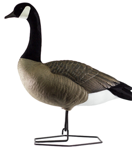 DOA Decoys Rogue Series Full body Canada Goose Decoys 6 Pack