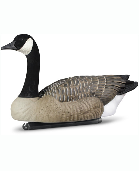 DOA Rogue Series Canada Goose Full Body Floater Decoys 6 pack