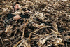 Beavertail Concealment Blanket Chisel Plowed Field