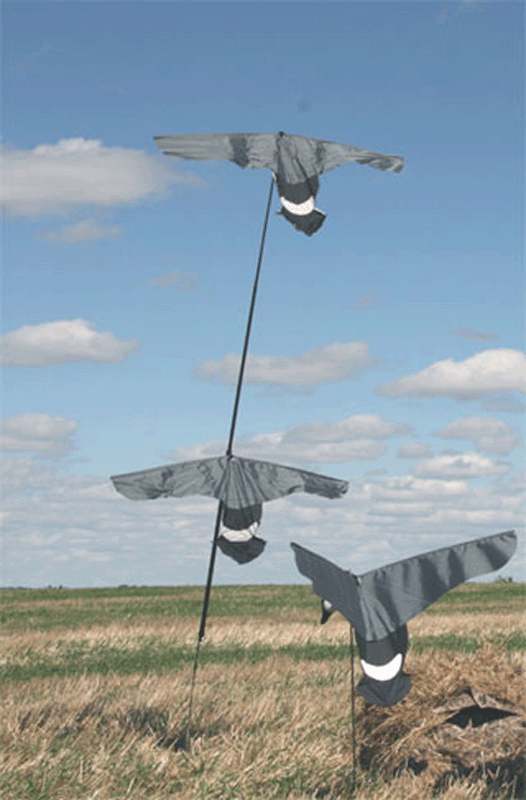 Flagman Double D's 10' pole kite
