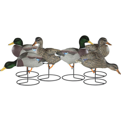 DAKOTA DECOY X-TREME MALLARD 6 PACK FIELD DECOYS