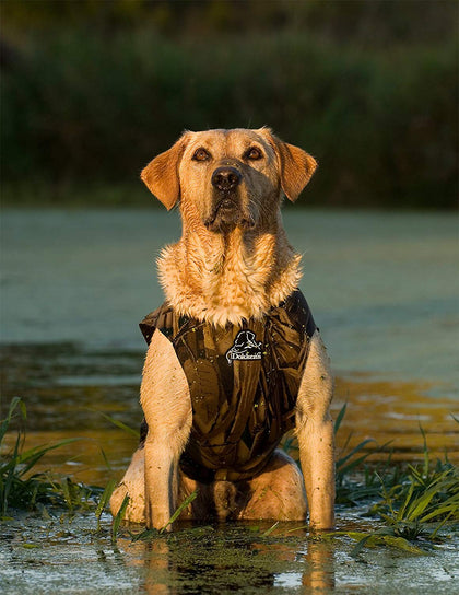 Dokken Neoprene Dog Vest