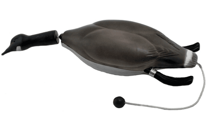 Dokken Deadfowl Canada Goose Trainer