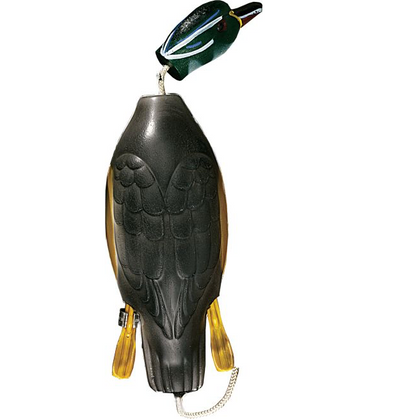 Dokken Deadfowl Wood Duck Trainer