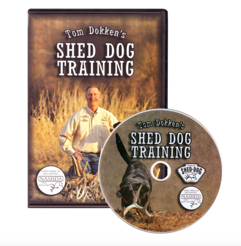 Tom Dokken Shed Dog Training DVD