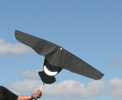 Flagman Lander Flag