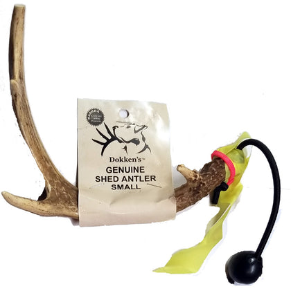 Deer Antler Shed Hunting Dog Training Kit