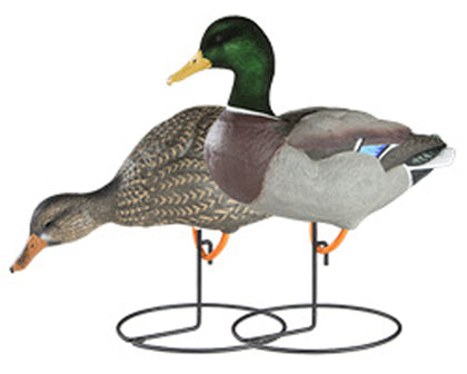 DAKOTA DECOY X-TREME MALLARD 6 PACK FIELD DECOYS