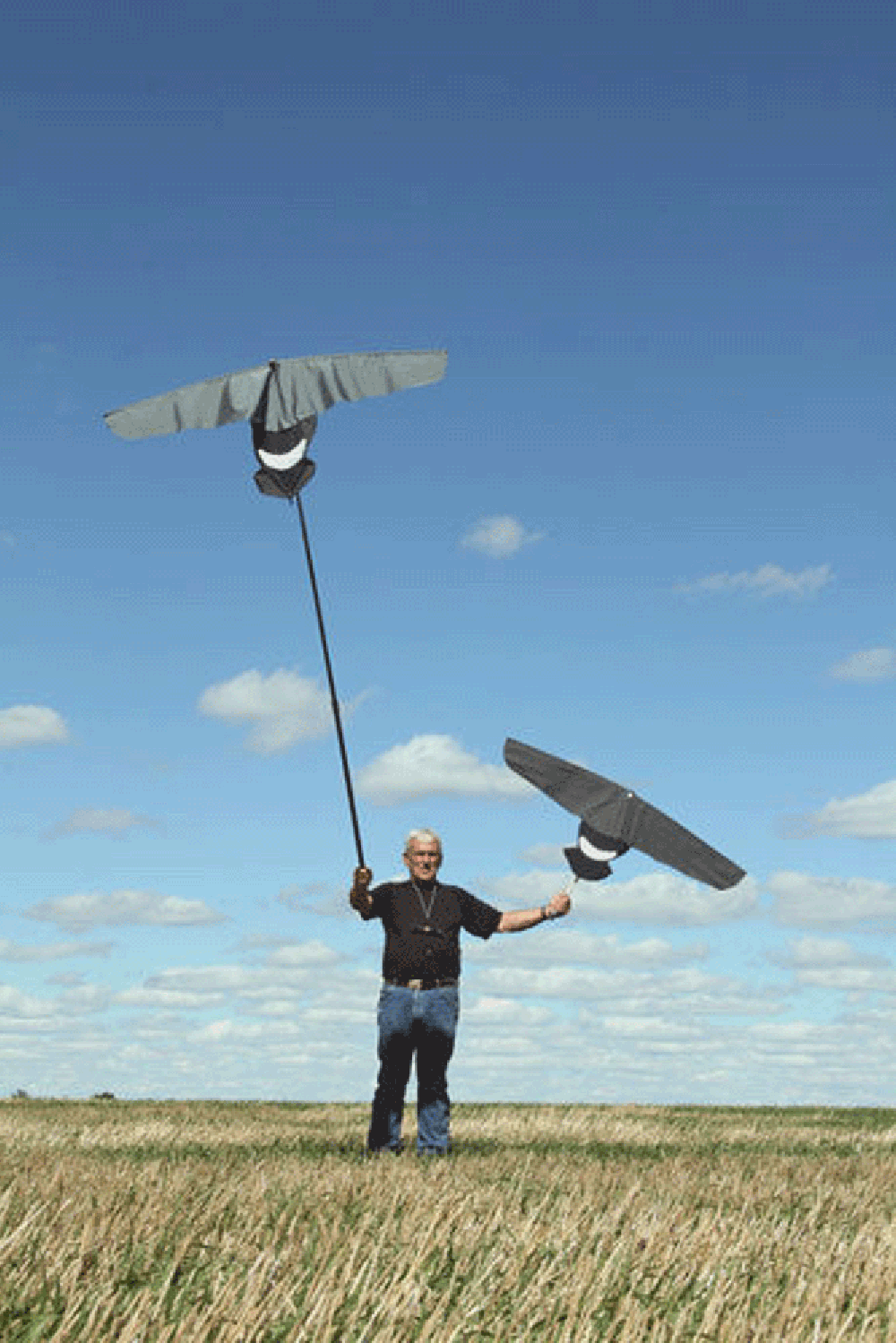 Canada Goose Pole Kite Made in USA