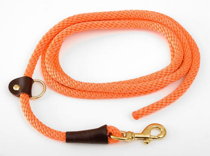 Mendota EZ Trainer Lead/Leash